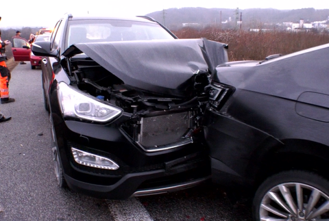 Cez vozovku plnú vozidiel sa prehnalo stádo jeleníc