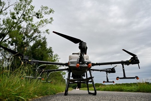 Dron