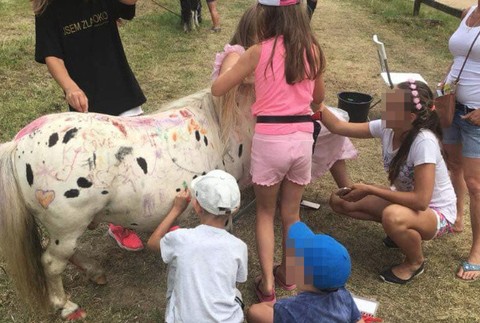 Poníka na festivale deti pomaľovali 