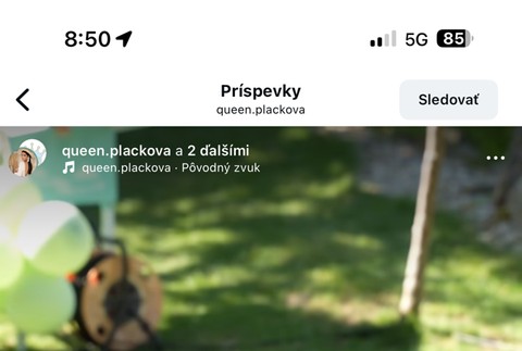 Plačková, syn Dion, narodeninová oslava, luxus, dinosaurus