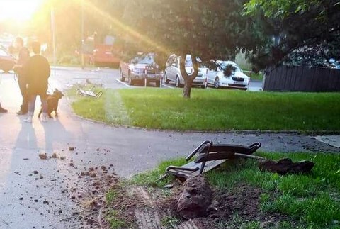 Nehoda, autobus, Dúbravka