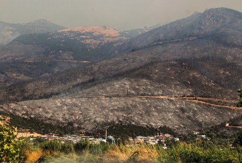 Turkey_Wildfires553426