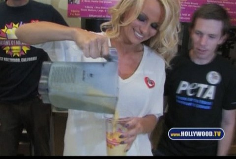 pamela anderson nalieva koktejl