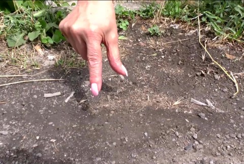 [multi] Deti našli ľudský prst 532