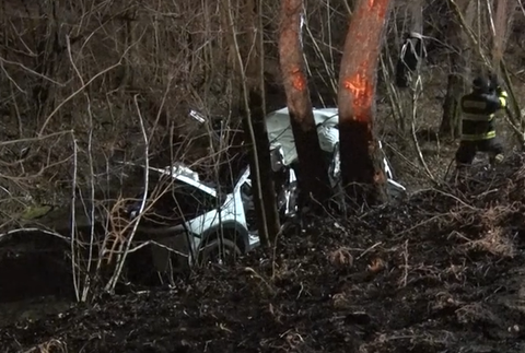 Vodič havaroval do stromov 2