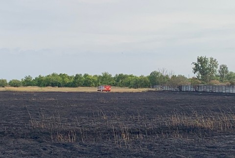 Hasiči zachraňovali státisíce životov. Požiar trávnatého porastu ohrozoval 80 rodín včiel