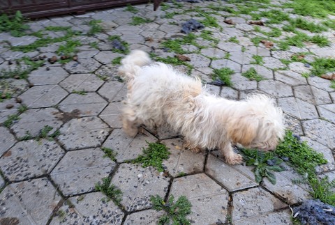 431549276_814492237383013_4538677398847374138_n