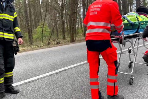 [multi] Dedo na streche 5845