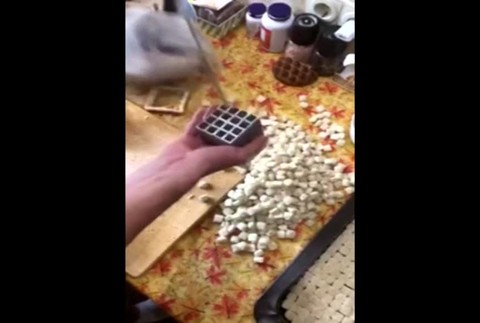 [multi] Obraz z chleba. Anonymný umelec naň použil až 40 tisíc krutónov 502