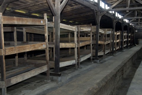 koncentracny tabor osviencim himmler3