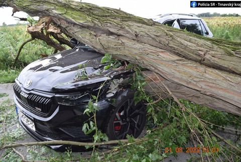 Na auto spadol počas jazdy strom