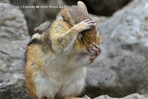 Veselé tváre prírody