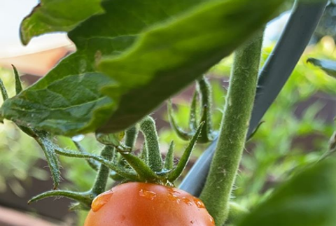 Ivana Gaborik po dovolenke (5)