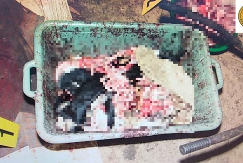 334947154_763036401693644_3081569658437564308_n