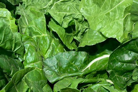 pexels-magda-ehlers-pexels-28797268