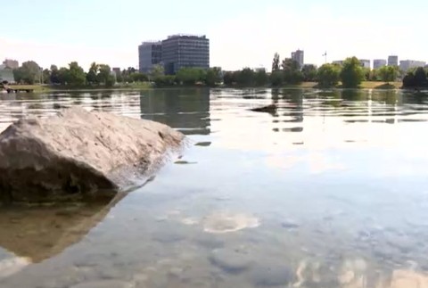 Pozor na nebezpečné sinice v jazerách.