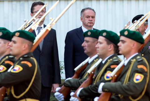 Kiska na vojenskej prehliadke