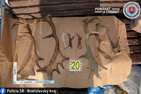 Najväčšia policajná akcia zameraná na pytliakov