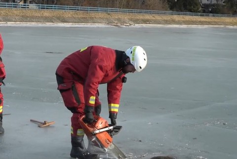 Hasiči vysekávali diviaka