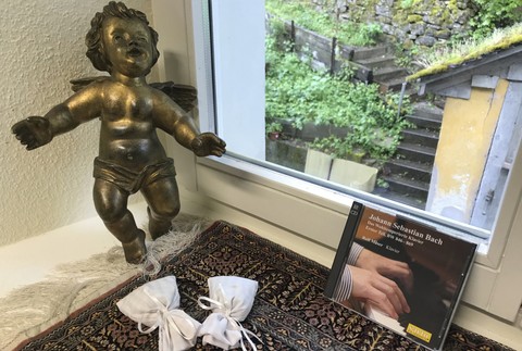 David Goodall, smrť, Švajčiarsko