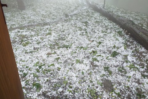 Ľadové krúpy v košickej Zoo