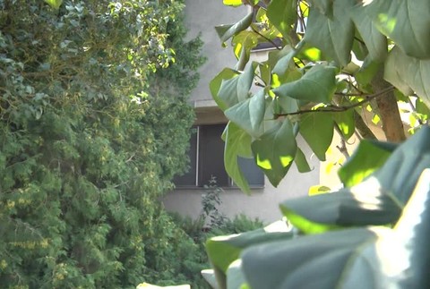 Polícia zadržala troch mužov. Dôchodcom mali ukradnúť až 190-tisíc eur