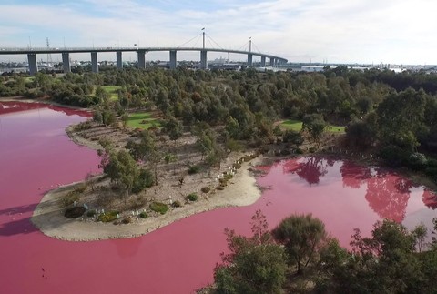 Ružové jazero, Melbourne, Victoria Parks 1