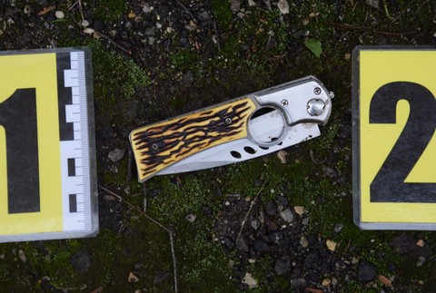 Kuriózna lúpež pri Trebišove.