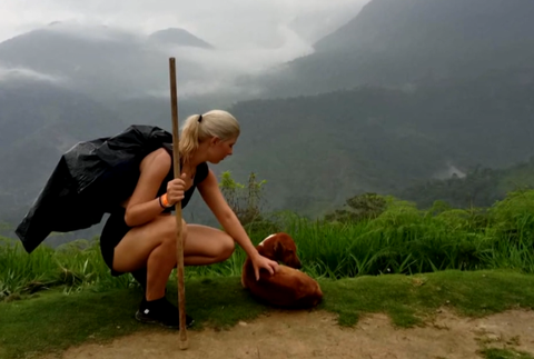 Screenshot 2024-07-11 195408