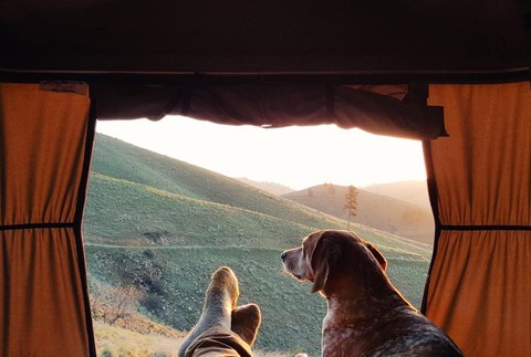 Maddie - cestovateľ