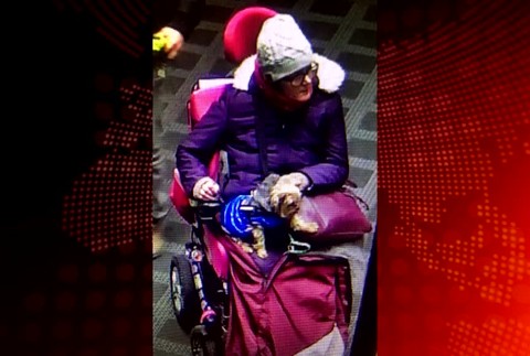 Policajti vyšetrujú krádež. Podozrivá je žena na invalidnom vozíku