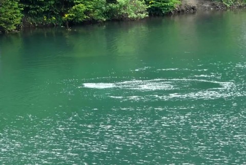 [multi] Utopený tínedžer 6965