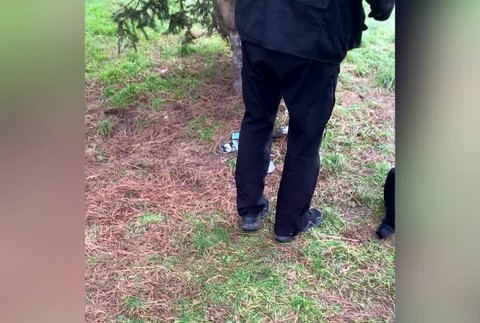 [multi] Drogy a falošné peniaze 2099