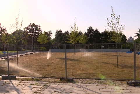 Osadenie trávnika na Námestí slobody stálo tisíce eur. Teraz to tam vyzerá ako na Sahare