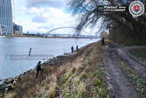 Pátranie po Terézii