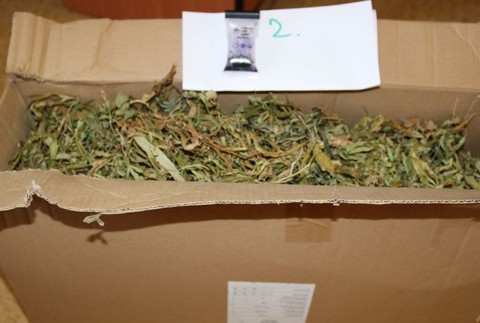 Dvojica posielala marihuanové fénixove slzy poštou