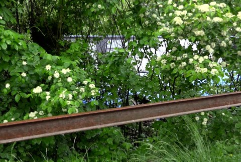 Pri vážnej dopravnej nehode 20-ročný vodič vrazil do autobusu. Zasahovať musel aj vrtuľník17118
