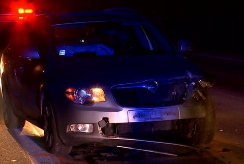 Žene skrížila cestu viac ako stokilová samica diviaka. V aute s ňou sedela aj dcéra