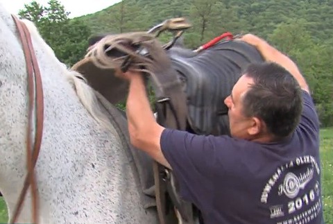 V sedle za pápežom 