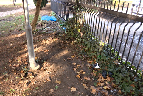 V Bratislave našli bezvládne telo muža. Okolnosti smrti zostávajú záhadou