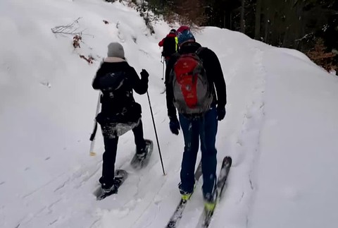 [multi] Zasah HZS. 1876