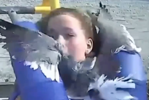 Tínedžerke do tváre vletela čajka