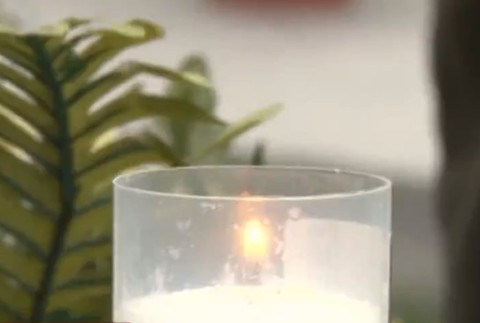 Praktiky prevádzačov cez Slovensko-ukrajinskú hranicu sú kruté. Policajti nachádzajú ľudské pozostatky