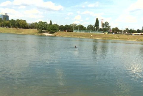 Kuchajda mŕtvola2969