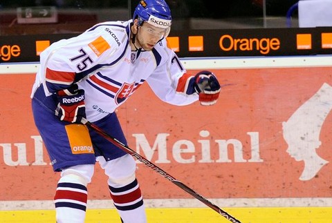 EHCH, Slovensko-Dánsko Stehlík