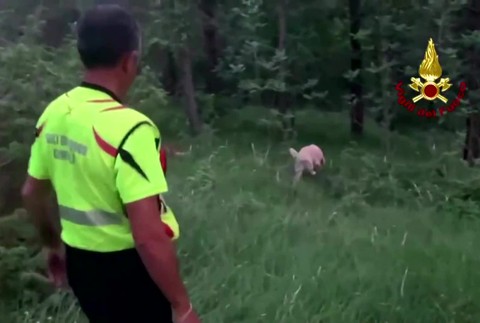 [multi] Záchranná akcia novinár 7177