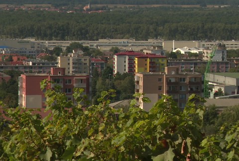 [multi] 061924PCV 1319