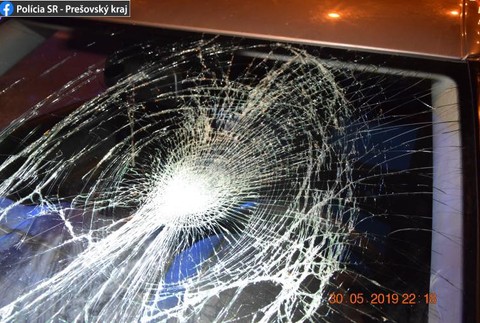 Z prechádzky so psami sa domov nevrátil. Chodca zrazilo auto na priechode