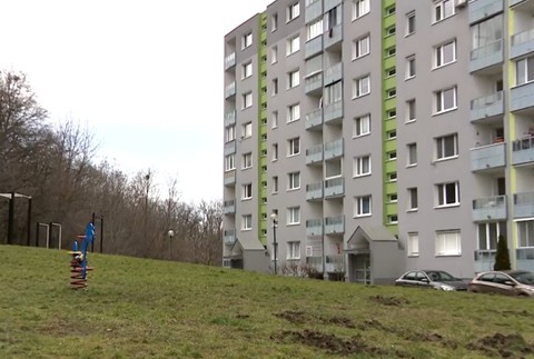 Diviaky na sídlisku 3