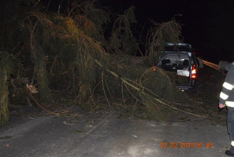 Šťastie v nešťastí! Na idúce auto pred Malužinou spadli dva hrubé stromy